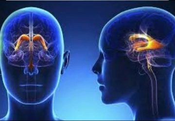 बागमती प्रदेशमा सबैभन्दा बढी ब्रेन ट्युमरका बिरामी, ३० देखि ५० वर्ष उमेर समूह उच्च जोखिममा