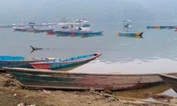फेवातालमा डुङ्गा चढ्ने यात्रु र चालकको पहिलोपटक बिमा
