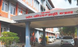 भाडा नतिरी सरकारी सम्पत्ति कब्जा गर्ने ३ सय उद्योगमाथि कारबाही सुरु