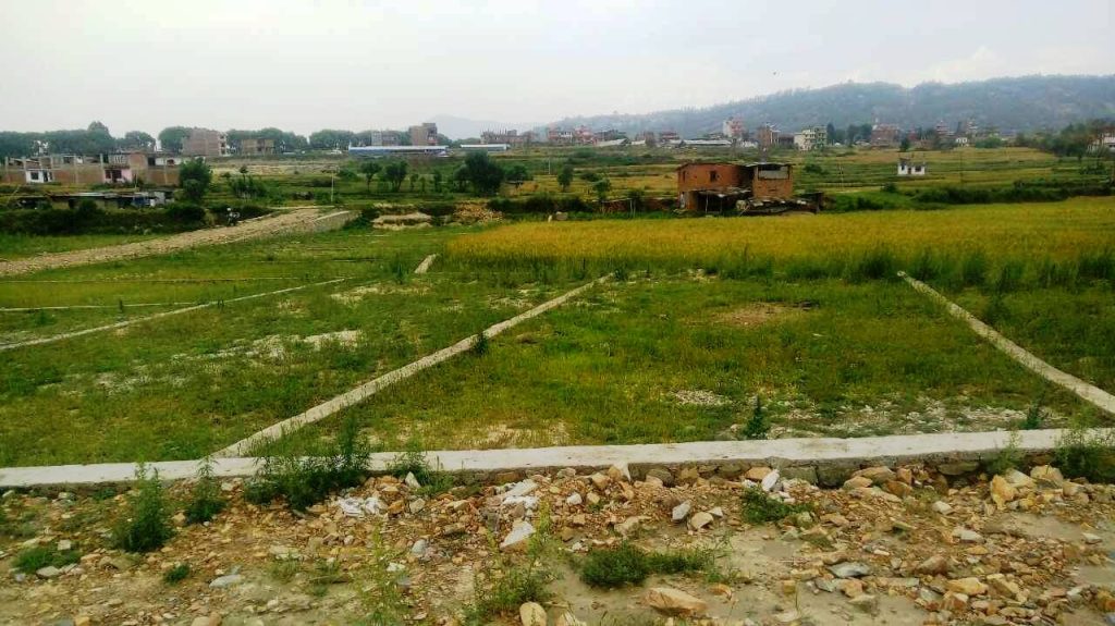 उब्जाउ जमिन नासिँदै, कृषि उत्पादन घट्दै