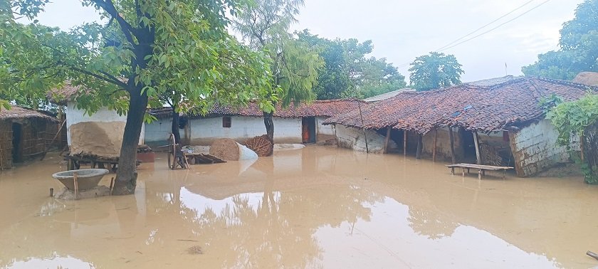 झापामा ४५० घर डुबानमा