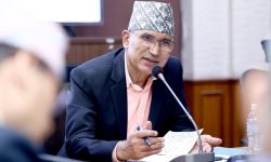 नेकपा एमाले उपाध्यक्ष विष्णु पौडेल पक्राउ