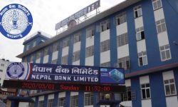 नेपाल बैंकको वेबसाइट अब अपाङ्गतामैत्री