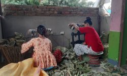 वैदेशिक रोजगारी त्यागेर दुनाटपरी व्यवसाय: मासिक २ लाख ७० हजारको कारोबार