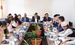 अर्थ समितिमा गभर्नरसँग सांसदको प्रश्न: -बैंकमा पैसा थुप्रिँदा पनि किन बढेन कर्जा?