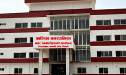 मौरीपालक किसानलाई परागकण बितरण