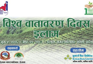 इलामको चियाबगानमा कुमारी बैंकद्वारा वृक्षरोपण