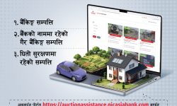 एनआईसी एशिया बैंकको सम्पत्ति लिलामीसम्बन्धी अनलाइन पोर्टल सार्वजनिक