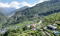 दर्मीजामा ‘होमस्टे’ को आनन्द लिन जाने होइन त ?