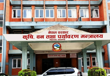 अब बाली लगाउनुअघि नै न्यूनतम समर्थन मूल्य तोकिने