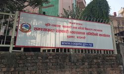 दुई समस्याग्रस्त सहकारीका १ सय ३२ ऋणीको सूची सार्वजनिक, तत्काल पैसा तिर्न निर्देशन
